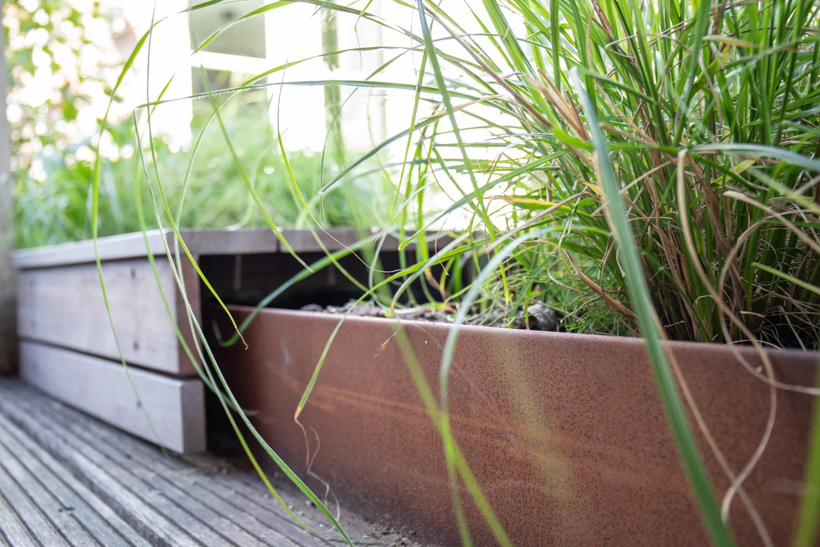 Cultivate Your Dream Outdoor Oasis